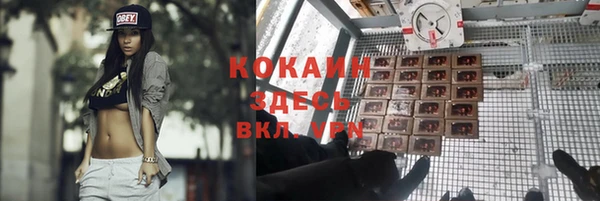 мескалин Нягань