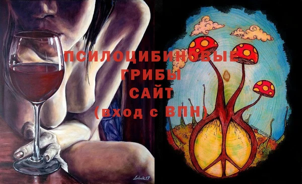 mdma Няндома