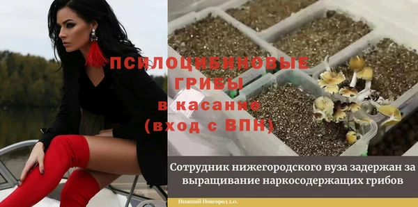 mdma Няндома