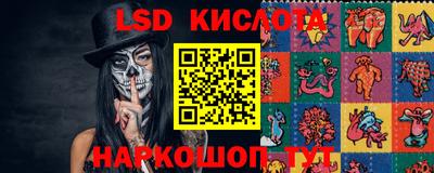 шишки Аргун