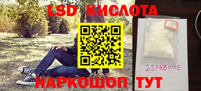 шишки Аргун