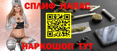 шишки Аргун