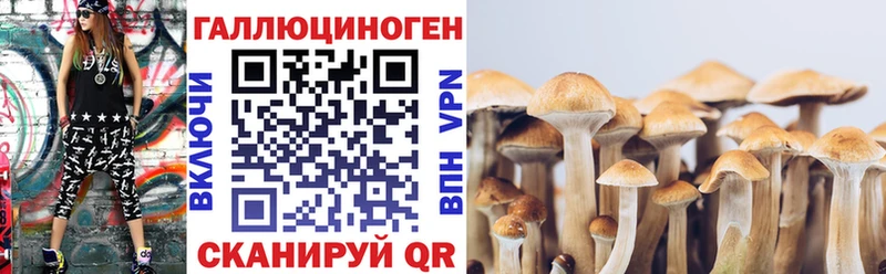 Псилоцибиновые грибы мицелий  как найти наркотики  мориарти какой сайт  Барнаул 
