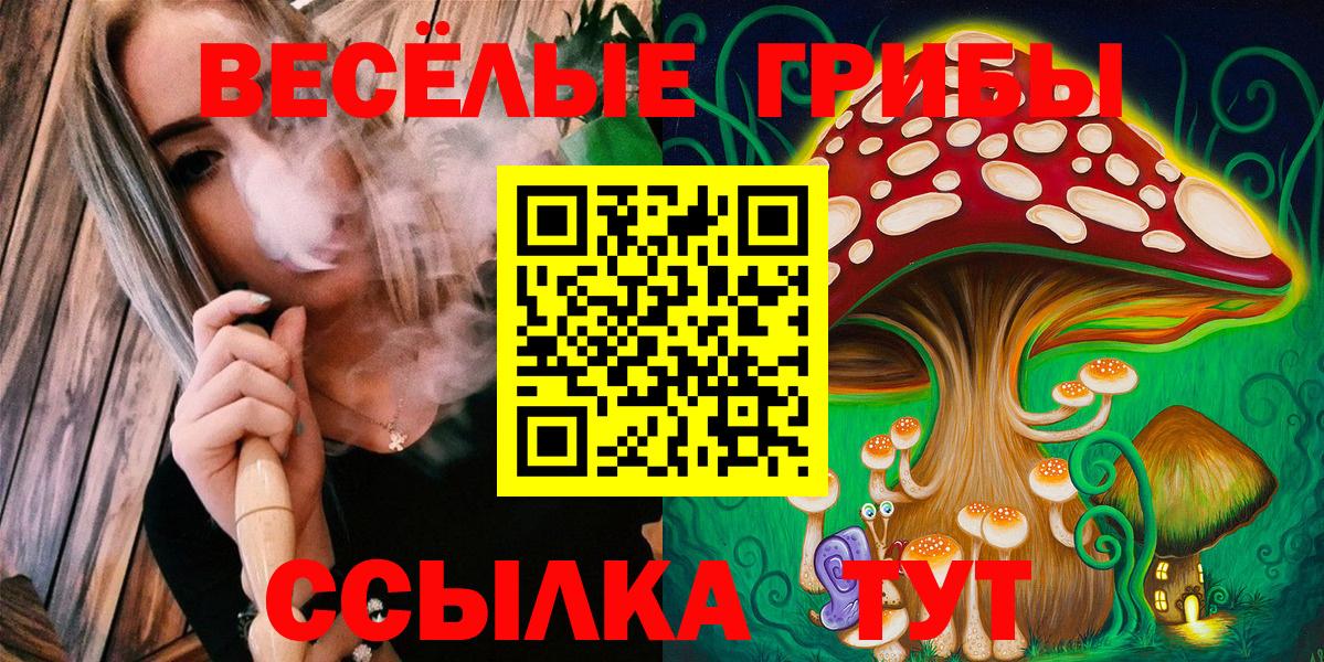 Галлюциногенные грибы Psilocybine cubensis Барнаул
