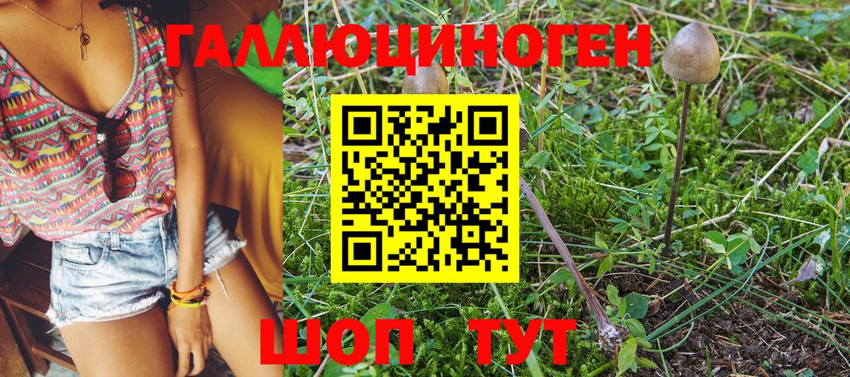 Галлюциногенные грибы мухоморы  Барнаул  Псилоцибиновые грибы прущие грибы 