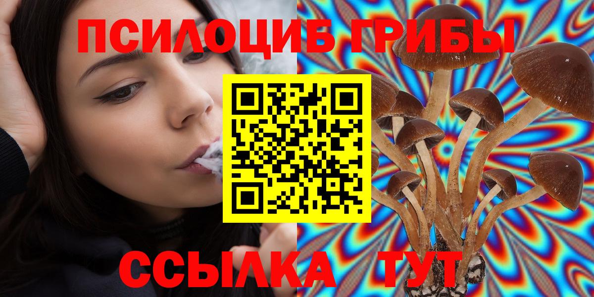 закладки  Вход с VPN  Барнаул  Псилоцибиновые грибы мицелий 